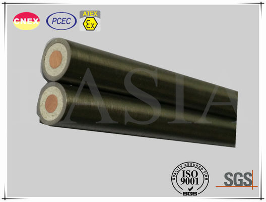 Single Core Heating Element of Mineral Insulated Cable for Industrial Use leverancier